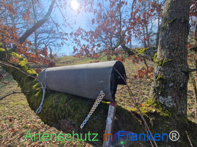 Bild zum Eintrag (1138226-160)