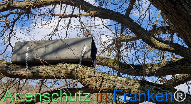 Bild zum Eintrag (1138227-160)