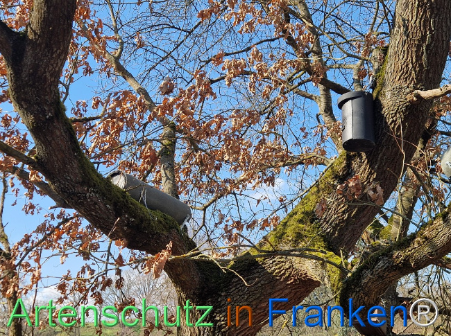 Bild zum Eintrag (1138228-160)