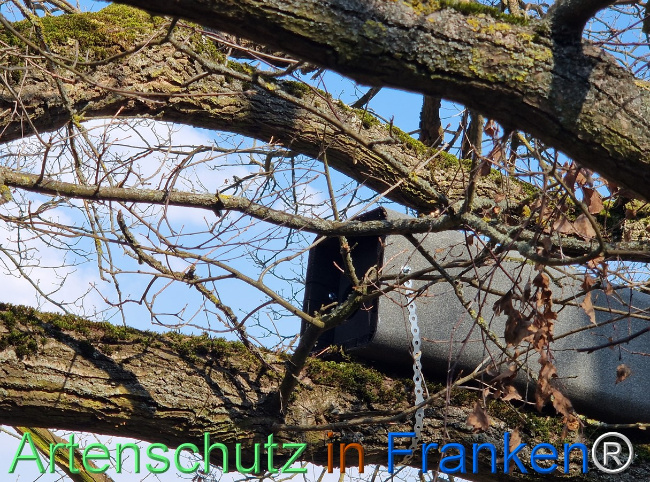 Bild zum Eintrag (1138231-160)