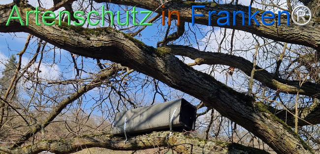 Bild zum Eintrag (1138232-160)