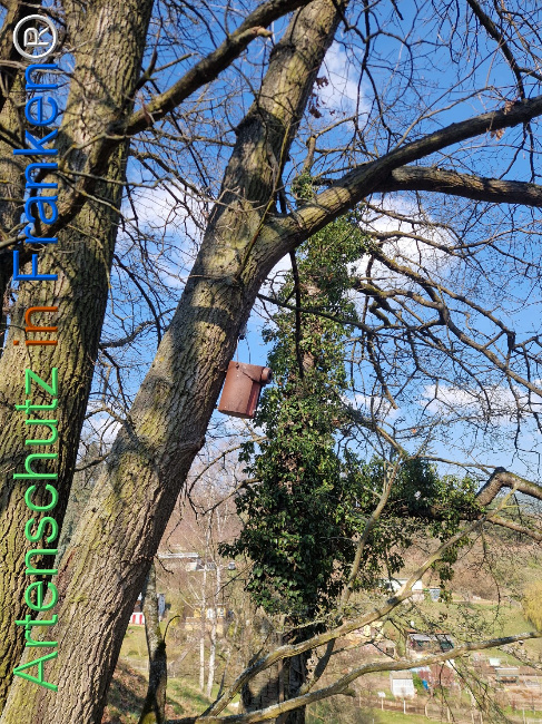 Bild zum Eintrag (1138240-160)