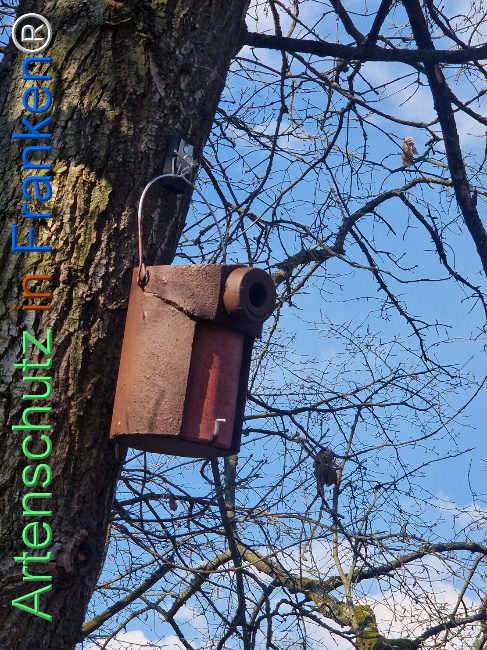 Bild zum Eintrag (1138242-160)