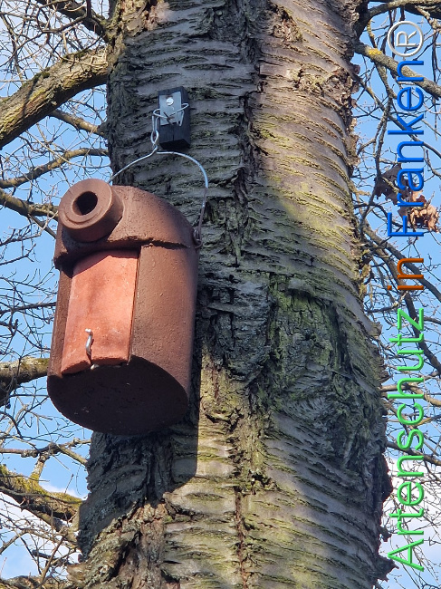 Bild zum Eintrag (1138244-160)