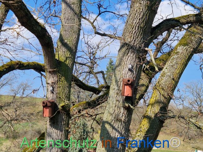 Bild zum Eintrag (1138247-160)