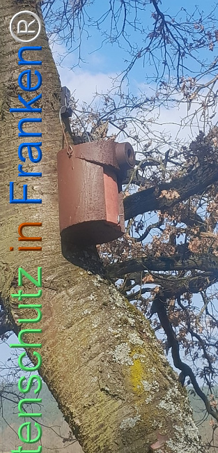 Bild zum Eintrag (1138248-160)