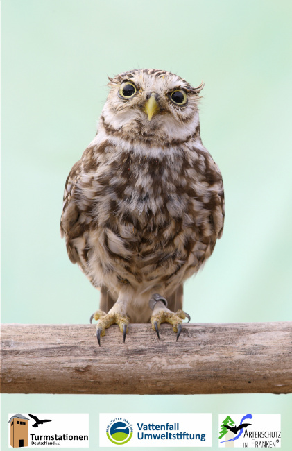 Bild zum Eintrag (1138249-160)