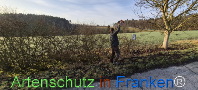 Bild zum Eintrag (1139056-160)