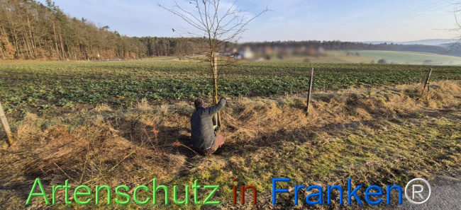 Bild zum Eintrag (1139057-160)