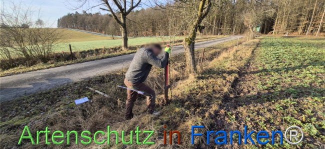 Bild zum Eintrag (1139058-160)