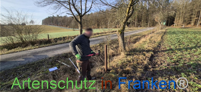 Bild zum Eintrag (1139059-160)