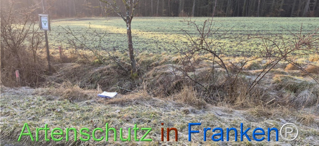 Bild zum Eintrag (1139061-160)