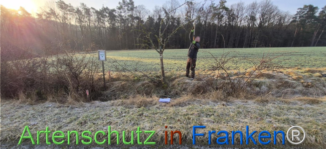 Bild zum Eintrag (1139062-160)