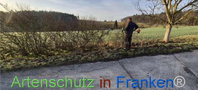 Bild zum Eintrag (1139063-160)