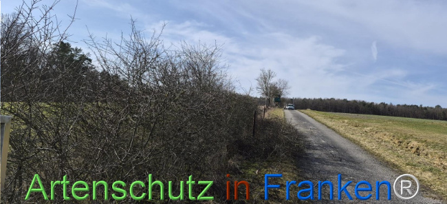 Bild zum Eintrag (1139065-160)