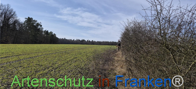 Bild zum Eintrag (1139066-160)