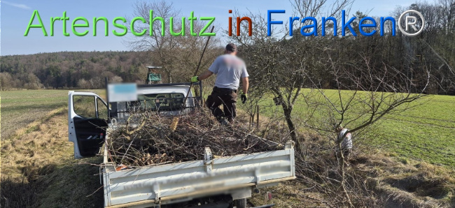 Bild zum Eintrag (1139067-160)