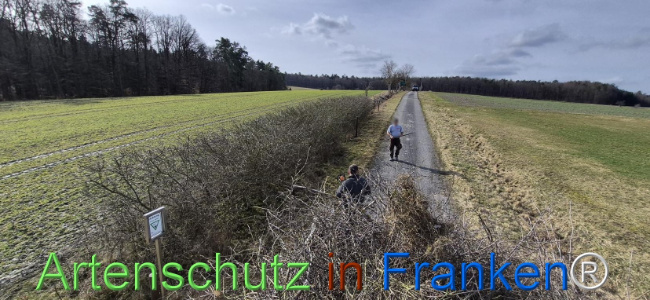 Bild zum Eintrag (1139070-160)