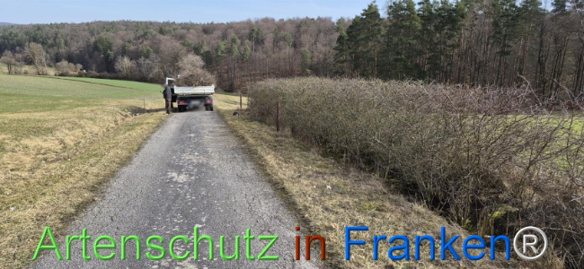 Bild zum Eintrag (1139071-160)