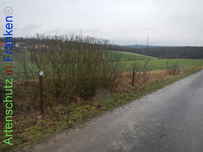 Bild zum Eintrag (1139081-160)