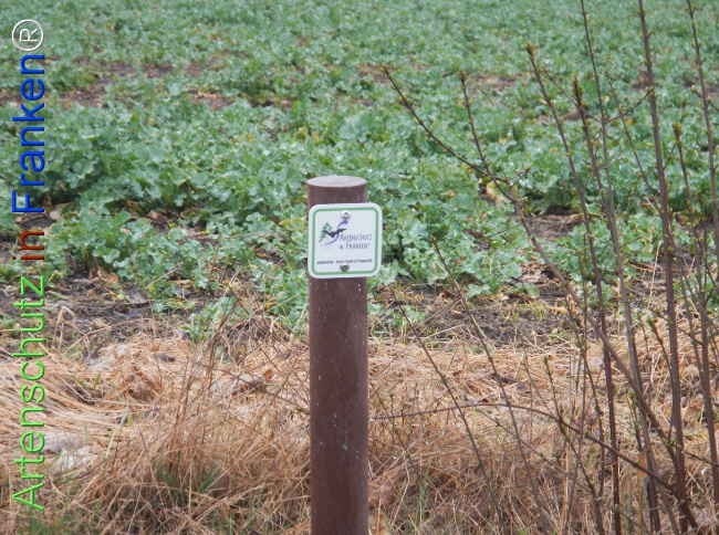 Bild zum Eintrag (1139082-160)