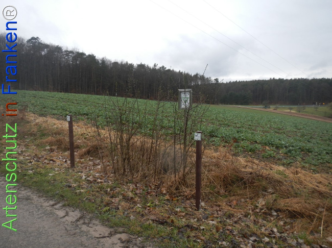 Bild zum Eintrag (1139084-160)