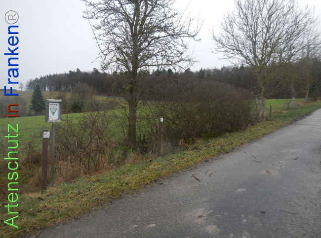 Bild zum Eintrag (1139085-160)