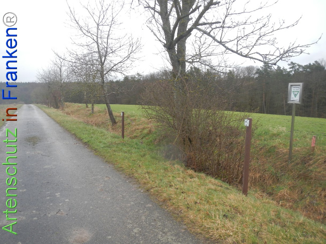 Bild zum Eintrag (1139086-160)