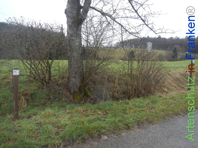 Bild zum Eintrag (1139088-160)