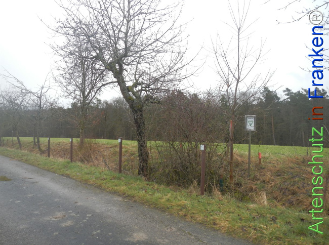 Bild zum Eintrag (1139089-160)