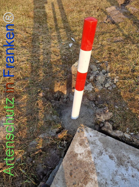 Bild zum Eintrag (1139153-160)