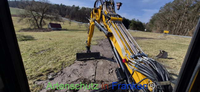 Bild zum Eintrag (1139158-160)