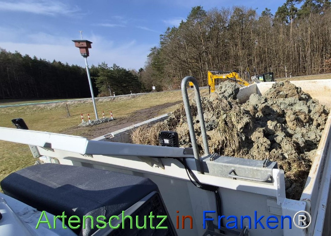 Bild zum Eintrag (1139160-160)