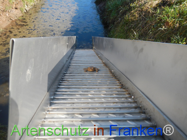 Bild zum Eintrag (1139439-160)