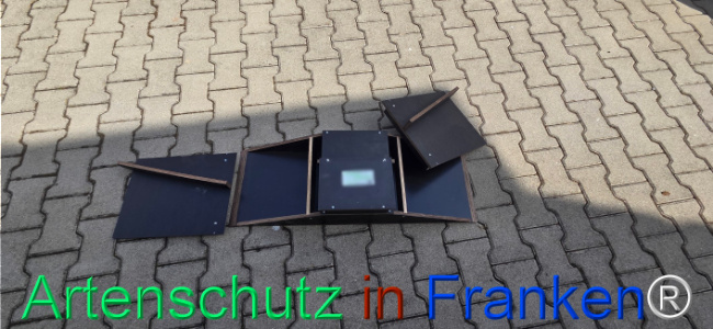 Bild zum Eintrag (1139461-160)