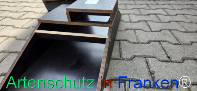 Bild zum Eintrag (1139464-160)