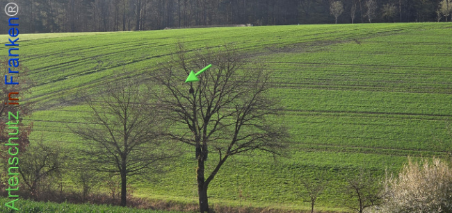 Bild zum Eintrag (1139854-160)