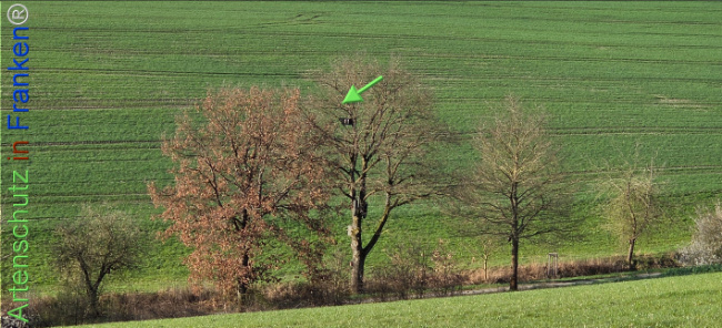 Bild zum Eintrag (1139856-160)