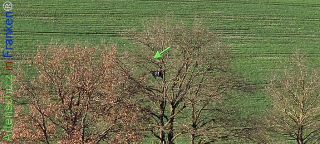 Bild zum Eintrag (1139857-160)