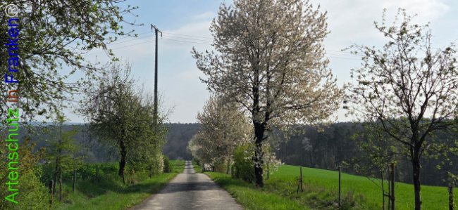 Bild zum Eintrag (1140086-160)