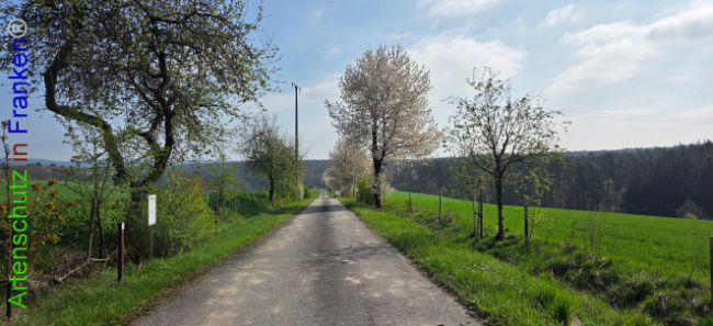Bild zum Eintrag (1140087-160)