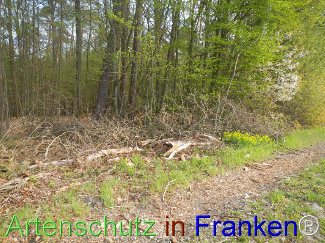 Bild zum Eintrag (1140428-160)