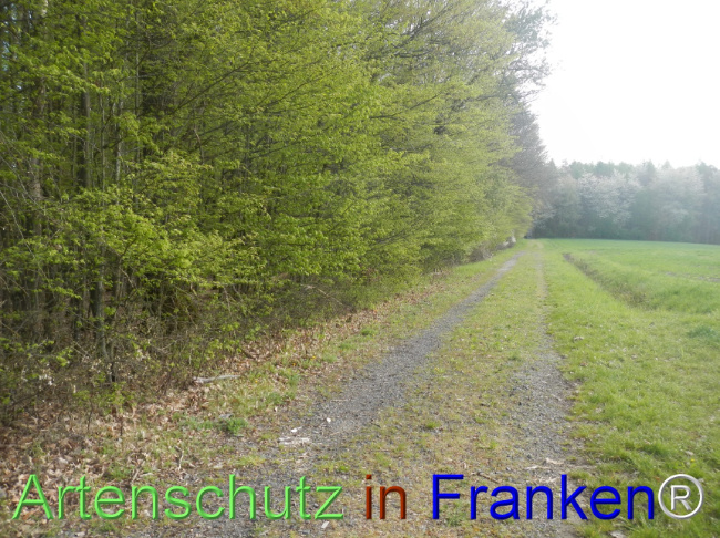 Bild zum Eintrag (1140429-160)