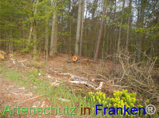 Bild zum Eintrag (1140430-160)