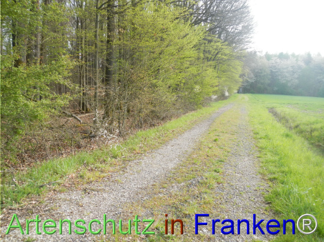 Bild zum Eintrag (1140432-160)