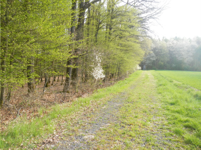 Bild zum Eintrag (1140433-160)
