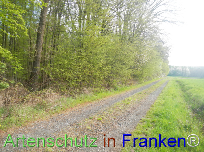 Bild zum Eintrag (1140434-160)