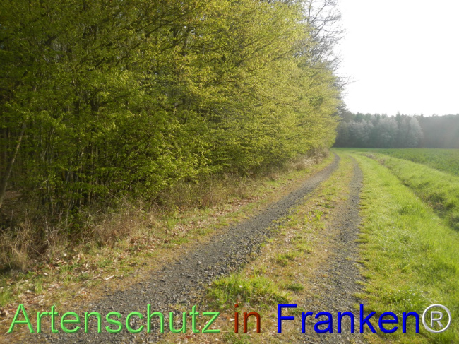 Bild zum Eintrag (1140436-160)