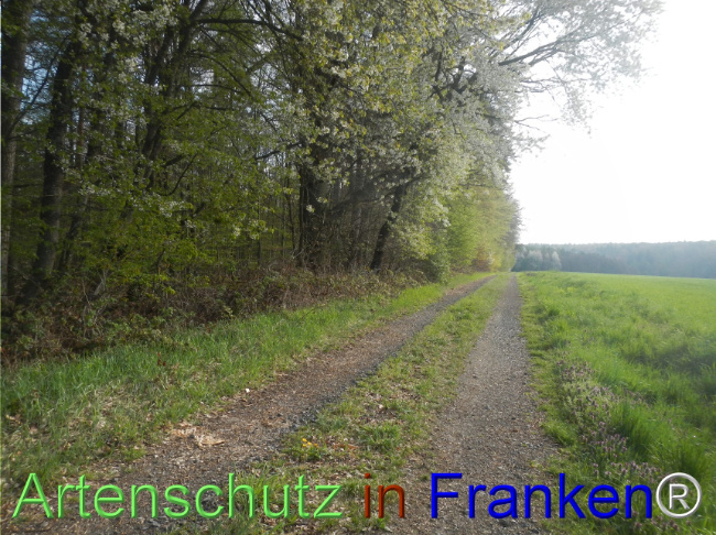 Bild zum Eintrag (1140438-160)