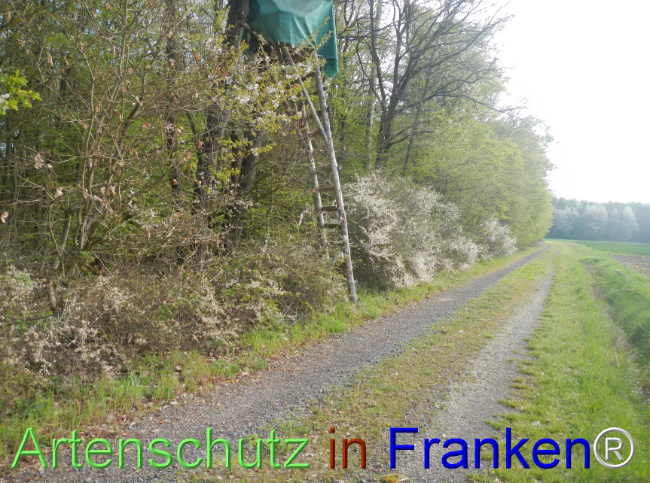 Bild zum Eintrag (1140439-160)